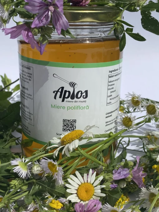 borcan miere poliflora